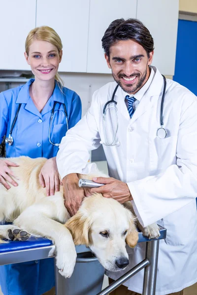 Two vets petting a dog — Stock Photo, Image