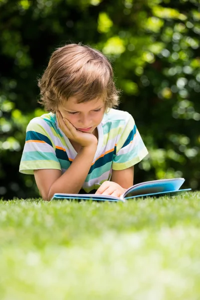 Um menino está lendo um livro — Fotografia de Stock