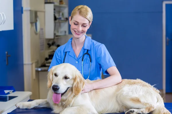Mujer veterinario sonriendo y acariciando a un perro — Foto de Stock