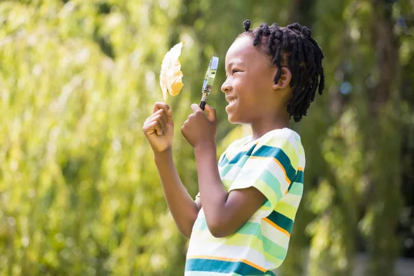 Profile view of boy looking at leaf through magnifying glass — Stock Photo, Image