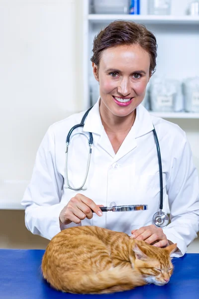Ritratto di su donna veterinario esaminando un gatto — Foto Stock