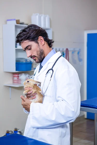 Een dierenarts houden en kijken naar een konijn — Stockfoto