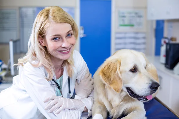 Mujer veterinaria sonriendo y posando con un perro — Foto de Stock
