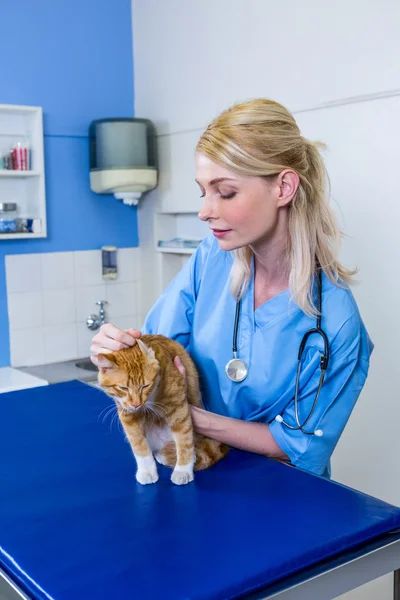 Uma mulher veterinária acariciando um gato — Fotografia de Stock