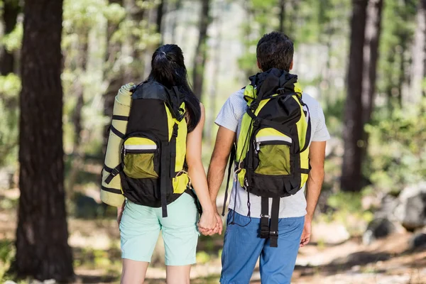 Echtpaar uit de rug hand in hand — Stockfoto