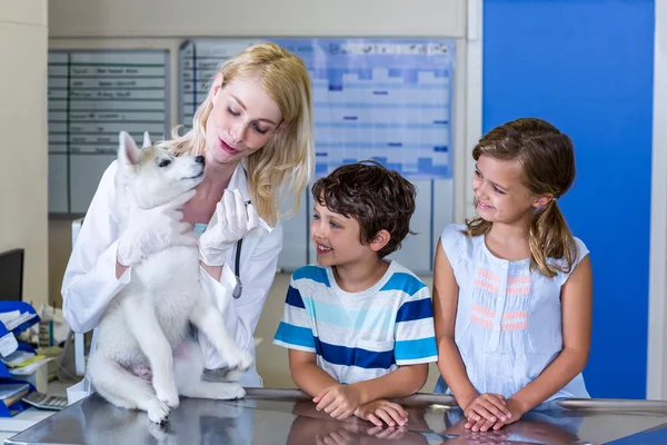 Tierärztin untersucht einen süßen Welpen mit zwei Kindern — Stockfoto