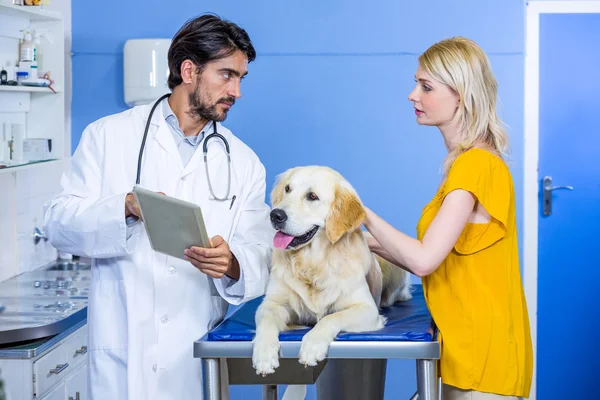 Een dierenarts van de man iets met zijn tablet PC weergegeven: — Stockfoto