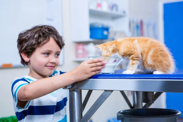 Mały chłopiec dając wodę do jego kotek — Zdjęcie stockowe