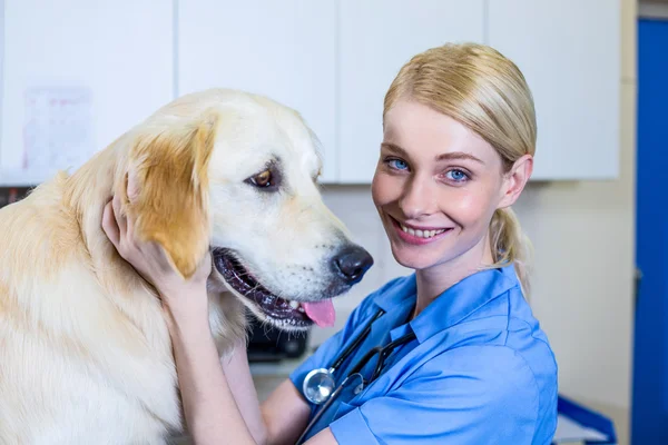 Un veterinario sonriente acariciando a un perro — Foto de Stock