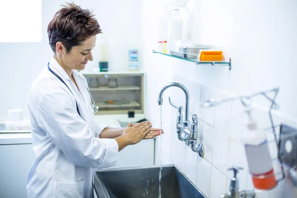 Donna veterinario sorridente e lavarsi le mani — Foto Stock