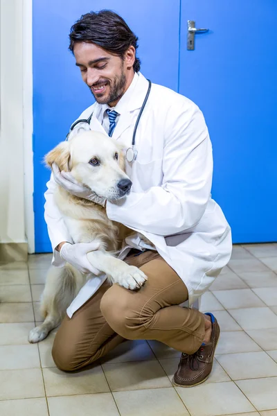 Чоловік-ветеринар пестить собаку — стокове фото