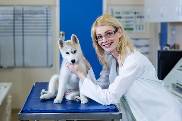 Жінка-ветеринар пестить собаку — стокове фото