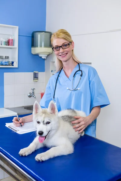 一个女人兽医构成和微笑着一条狗 — 图库照片
