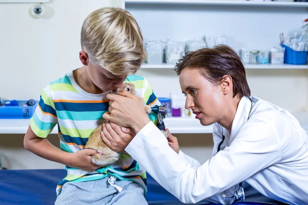 Femme vétérinaire examinant un lapin dans les bras des petits propriétaires — Photo