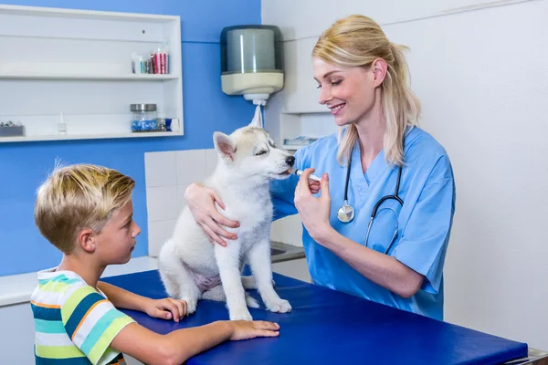 Een vrouw dierenarts neerzetten van een hond — Stockfoto