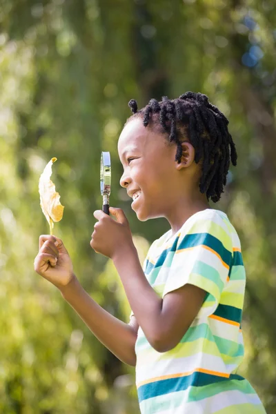 Profile view of boy looking at leaf through magnifying glass — Stock Photo, Image