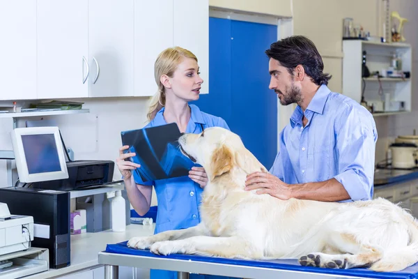 Mujer veterinario hablando con el dueño de los perros — Foto de Stock