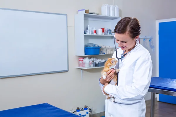 Uma mulher veterinária trazendo um gatinho — Fotografia de Stock