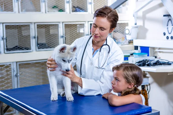 Uma mulher veterinário examinando um cão na frente de uma menina — Fotografia de Stock