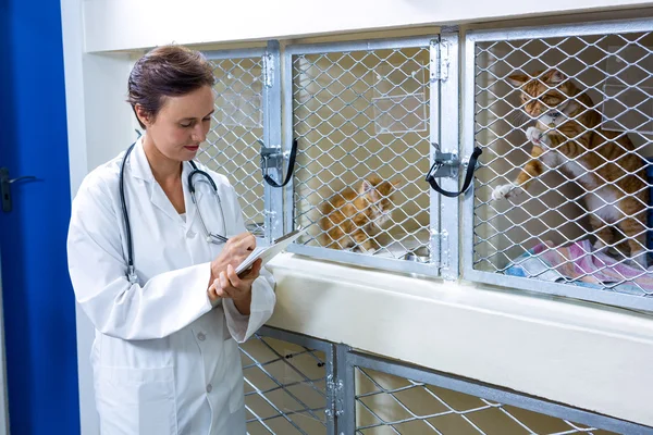 Uma mulher veterinária tomar notas com prancheta — Fotografia de Stock