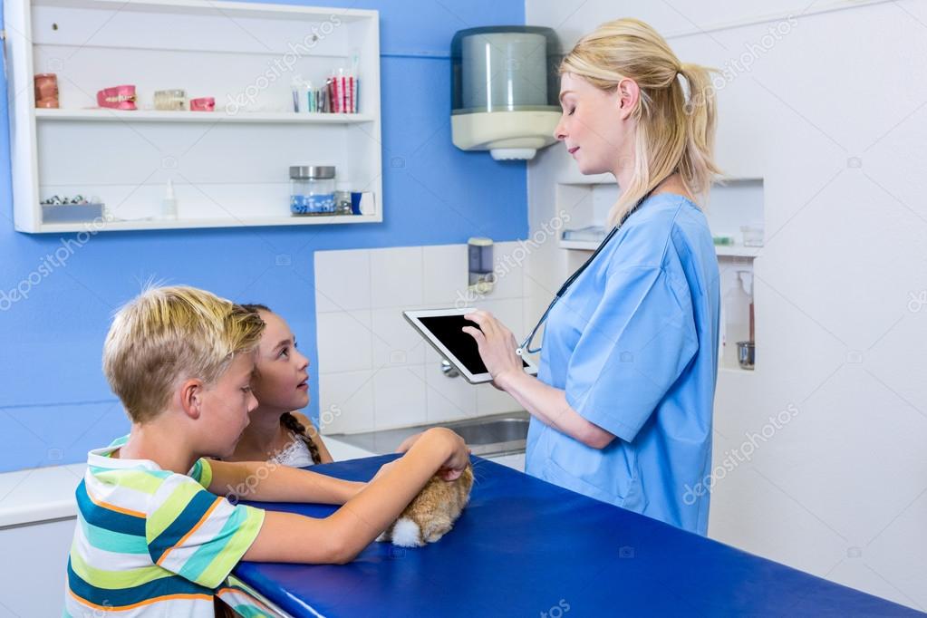 A Woman Vet Using Her Tablet Computer Stock Photo