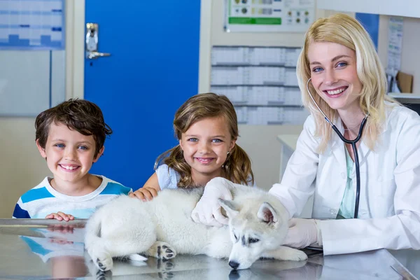 Tierärztin und Kinder lächeln und posieren mit einem Schnitt — Stockfoto