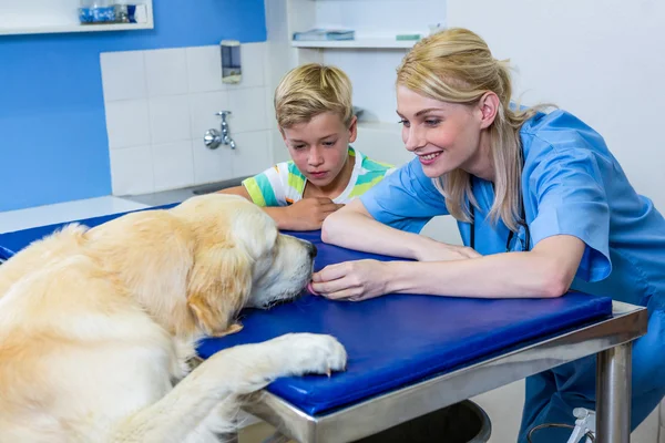 一个女人兽医，小男孩和狗一起玩 — 图库照片