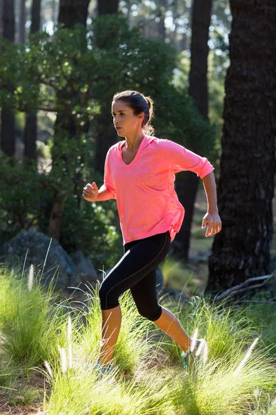 Deportiva mujer está corriendo —  Fotos de Stock