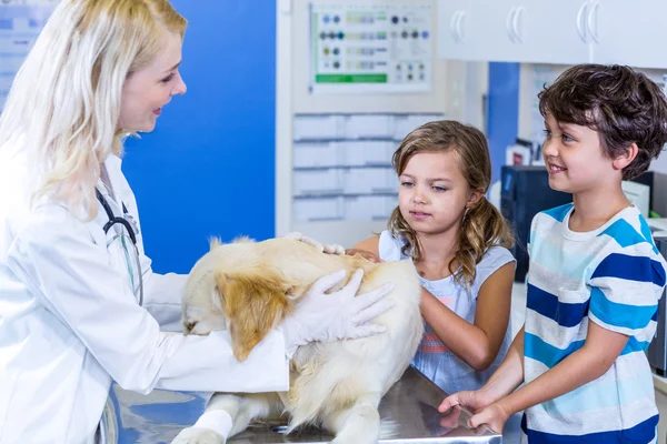 Veterinaria mujer examinando un perro con dos hijos — Foto de Stock