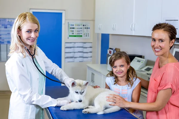 Mujer veterinario sonriendo y examinando un lindo cachorro con los propietarios —  Fotos de Stock