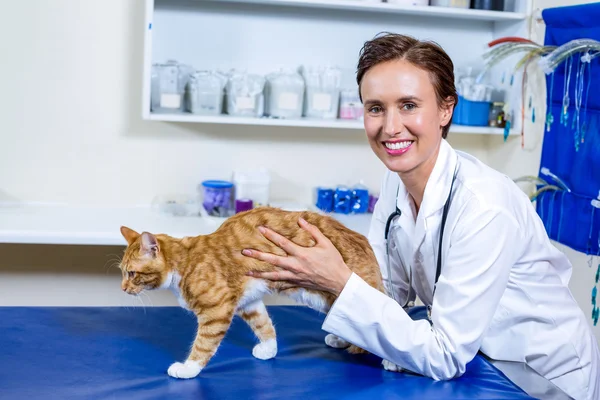 Tierärztin untersucht eine Katze — Stockfoto