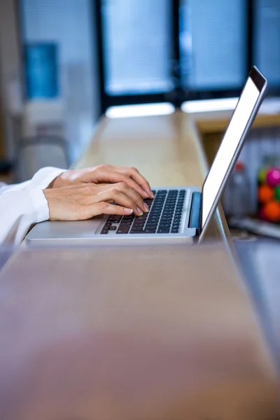 Close up de mulher veterinária trabalhando com seu laptop — Fotografia de Stock
