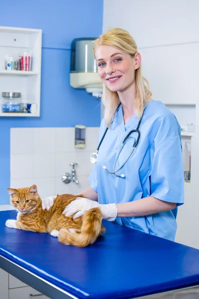 Una donna veterinario accarezzare un gatto — Foto Stock