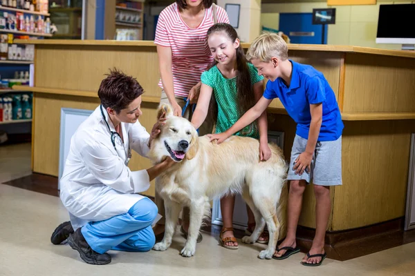 Kobieta weterynarza badanie psa z rodziną — Zdjęcie stockowe