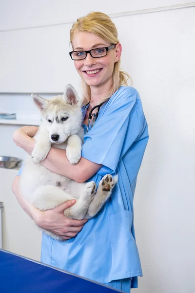 Жінка ветеринар приносить собаку — стокове фото