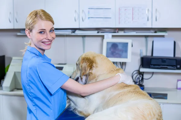 Mujer veterinaria sonriendo y posando con un perro — Foto de Stock