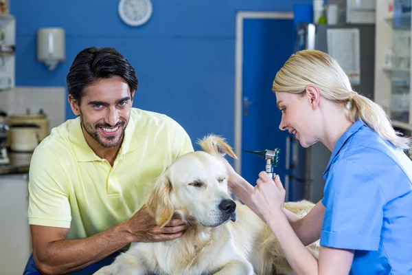 Sorrindo proprietário segurando seu cão durante o exame — Fotografia de Stock