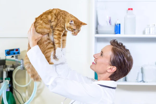 Vrouw dierenarts glimlachend en houden van een kat — Stockfoto