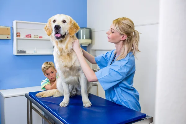 Una mujer veterinaria examinando a un perro — Foto de Stock