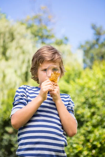 Retrato de menino bonito olhando uma folha com lupa — Fotografia de Stock