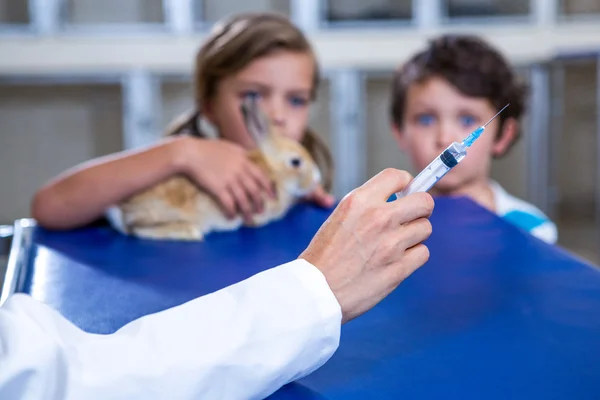 Close up of woman vet holding a syringe — Stock Photo, Image