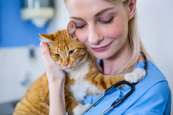 Uma mulher veterinária acariciando um gato — Fotografia de Stock