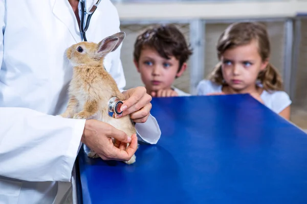獣医の 2 人の子供、ウサギの世話 — ストック写真