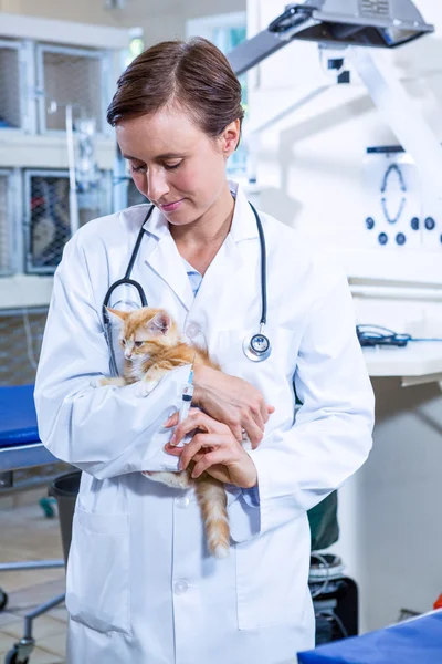 Retrato de mulher veterinária trazendo um gatinho — Fotografia de Stock