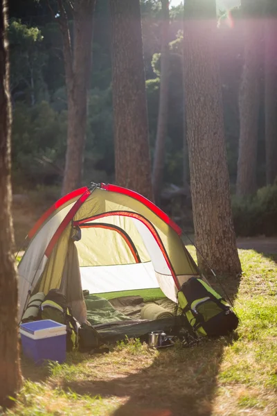 Image of a camp site — Stock Photo, Image