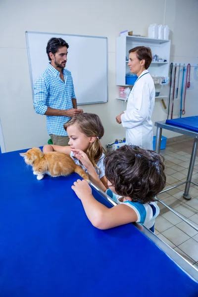 Niños acariciando a un gatito —  Fotos de Stock