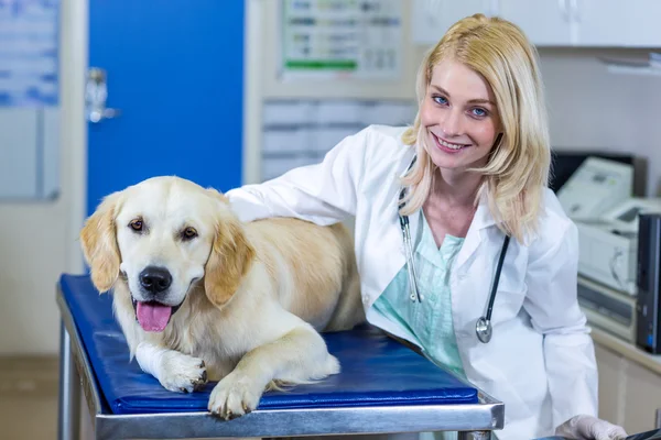 Женщина ветеринар улыбается и позирует с собакой — стоковое фото
