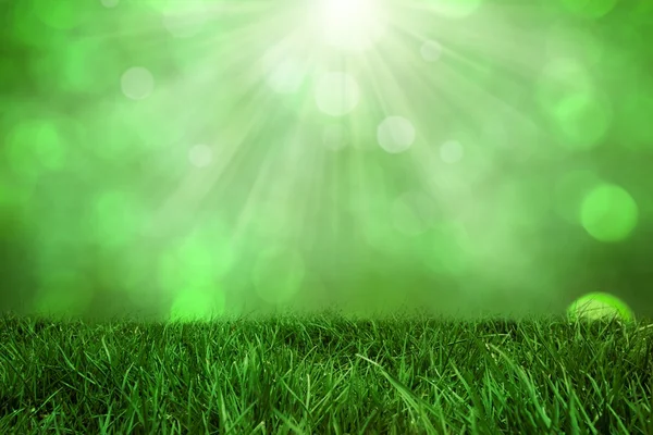 Composite image of lawn — Stock Photo, Image