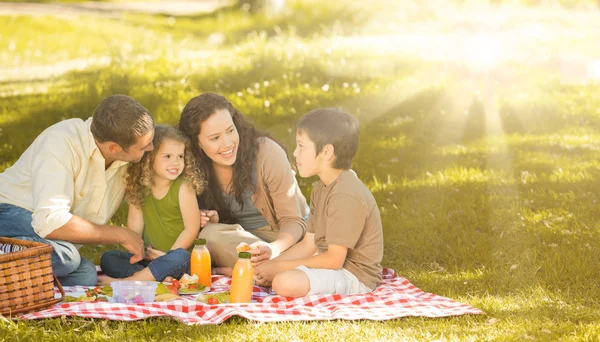 Сім'я на пікніку разом — стокове фото