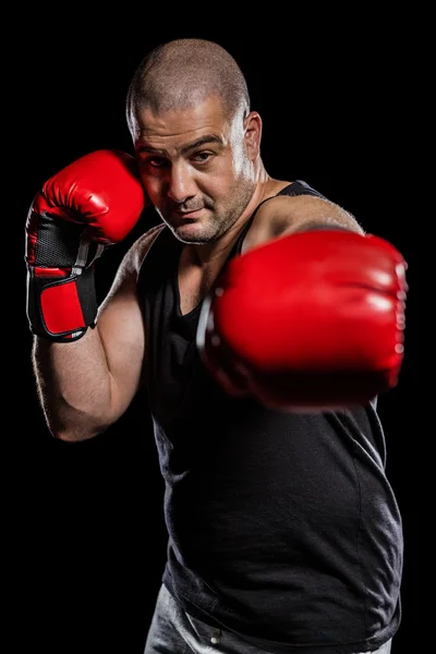 Boxer performing upright stance — Stock Photo, Image